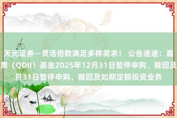 天元证券--灵活倍数满足多样需求！ 公告速递：嘉实群众鼎新龙头股票（QDII）基金2025年12月31日暂停申购、赎回及如期定额投资业务
